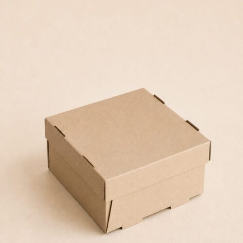 Caja Multipropósito C Sin Impresión
