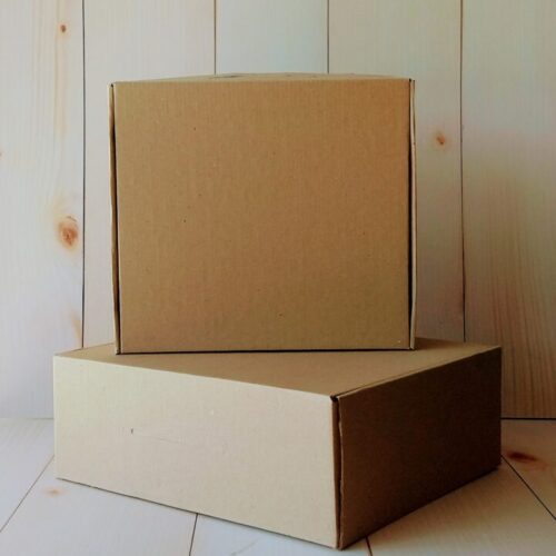 Caja Multipropósito N Sin Impresión