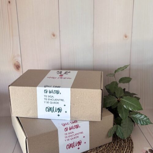 Cajas Multipropósito Con Fajas Autoadhesivas Pack x5 Unidades
