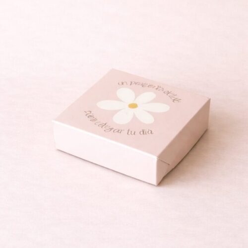 Caja Mini Cookie Margarita