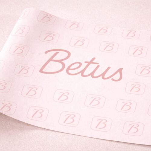 Papeles Seda | Antigrasa | Sulfito Personalizado Con Logo x100 Unidades