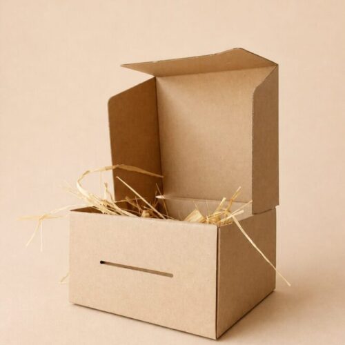 Caja Multipropósito H Sin Impresión