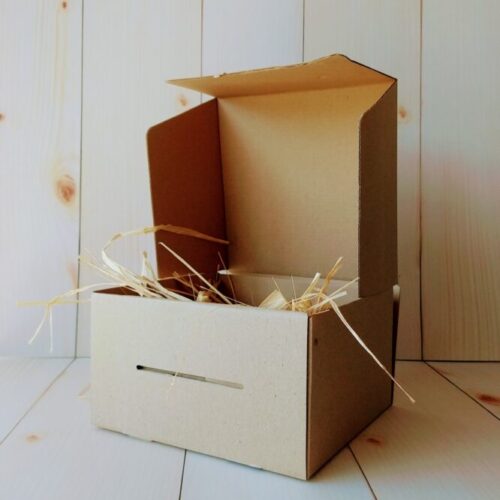 Caja Multipropósito H Sin Impresión